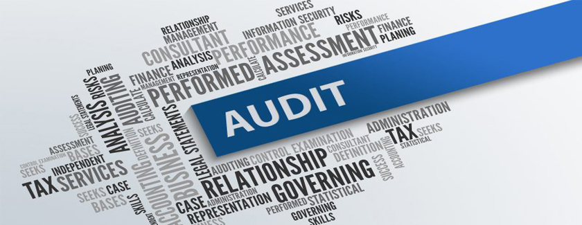 Income Tax Audit